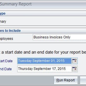 Business Summary Report