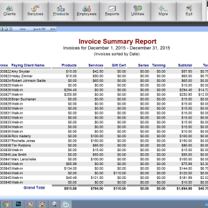 Insight Salon Spa Software Reporting Features